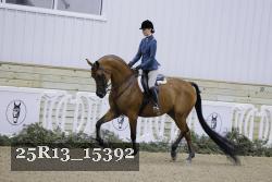 25R13_15392 thumbnail