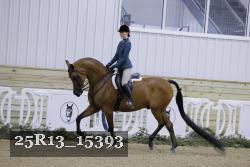 25R13_15393 thumbnail