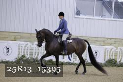 25R13_15395 thumbnail