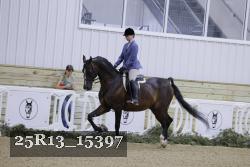 25R13_15397 thumbnail