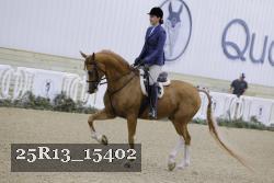 25R13_15402 thumbnail