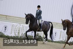 25R13_15403 thumbnail