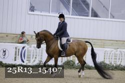 25R13_15407 thumbnail