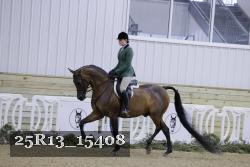 25R13_15408 thumbnail