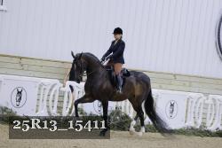 25R13_15411 thumbnail