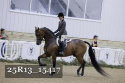 25R13_15417 thumbnail
