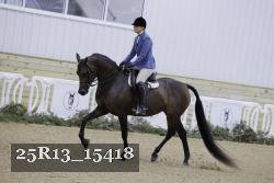 25R13_15418 thumbnail