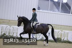 25R13_15420 thumbnail