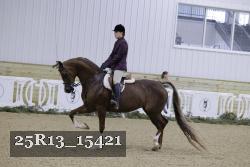 25R13_15421 thumbnail