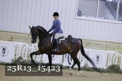 25R13_15423 thumbnail