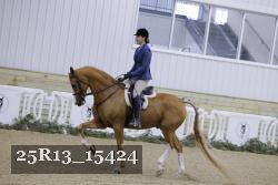 25R13_15424 thumbnail