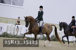 25R13_15425 thumbnail