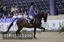 25R13_15429 thumbnail