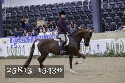 25R13_15430 thumbnail