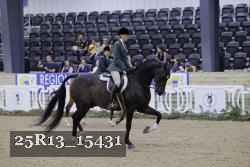 25R13_15431 thumbnail