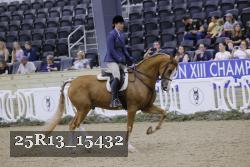 25R13_15432 thumbnail