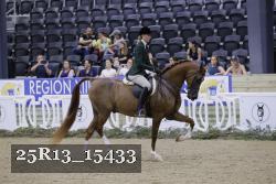 25R13_15433 thumbnail