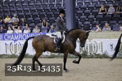 25R13_15435 thumbnail