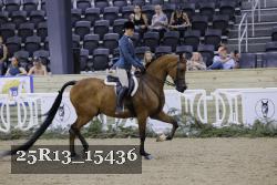 25R13_15436 thumbnail
