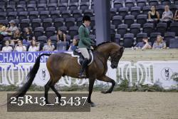 25R13_15437 thumbnail