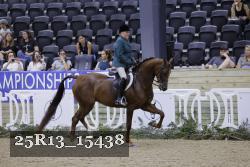 25R13_15438 thumbnail