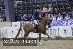 25R13_15439 thumbnail
