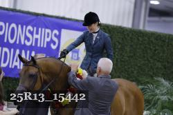 25R13_15442 thumbnail