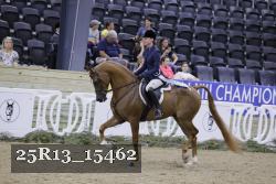 25R13_15462 thumbnail
