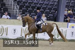 25R13_15463 thumbnail