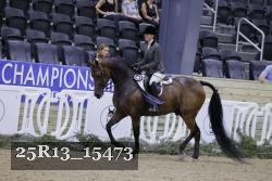 25R13_15473 thumbnail