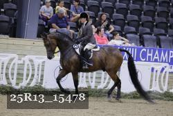25R13_15478 thumbnail
