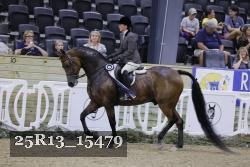 25R13_15479 thumbnail