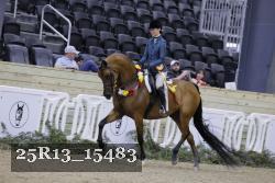 25R13_15483 thumbnail