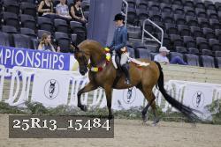 25R13_15484 thumbnail
