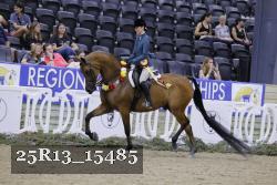 25R13_15485 thumbnail