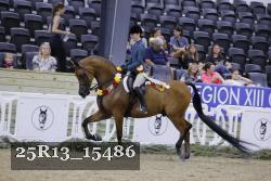 25R13_15486 thumbnail