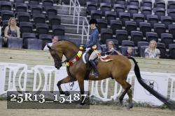 25R13_15487 thumbnail