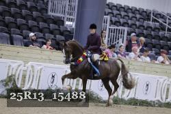 25R13_15488 thumbnail