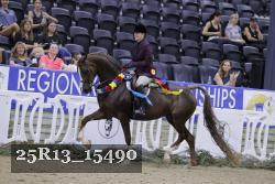 25R13_15490 thumbnail