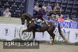 25R13_15491 thumbnail