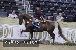 25R13_15492 thumbnail