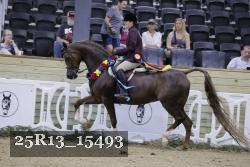 25R13_15493 thumbnail