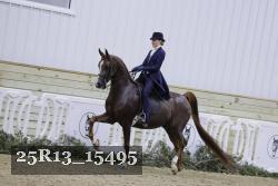 25R13_15495 thumbnail