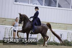 25R13_15496 thumbnail