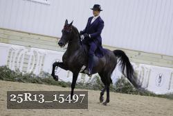 25R13_15497 thumbnail