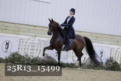 25R13_15499 thumbnail