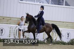 25R13_15500 thumbnail