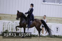 25R13_15501 thumbnail