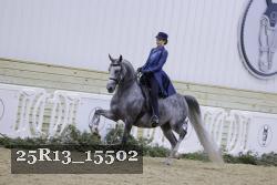 25R13_15502 thumbnail