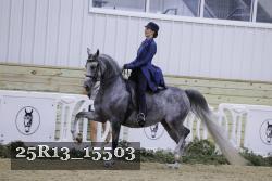 25R13_15503 thumbnail